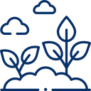 City View or Garden View Options